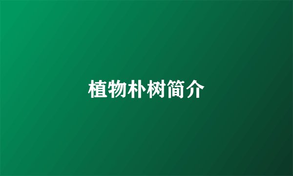 植物朴树简介