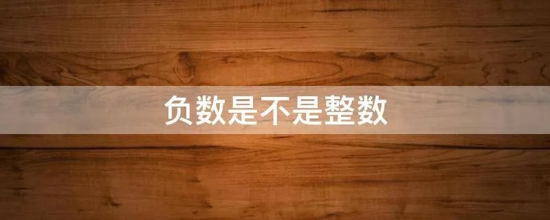 负数是不是整数