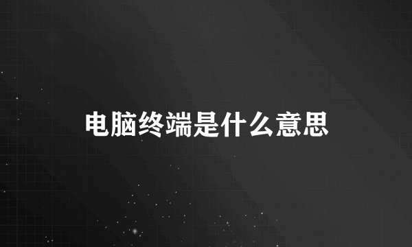 电脑终端是什么意思