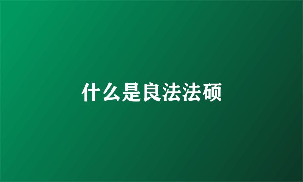 什么是良法法硕