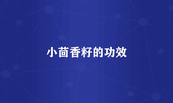 小茴香籽的功效