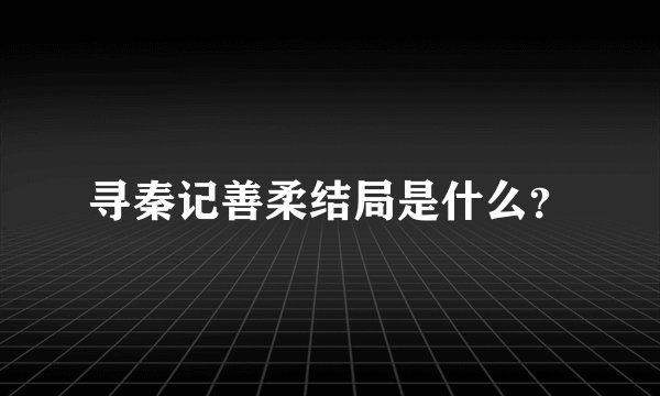 寻秦记善柔结局是什么？