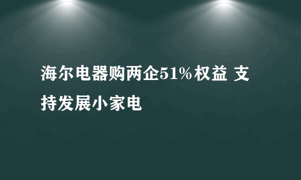 海尔电器购两企51%权益 支持发展小家电