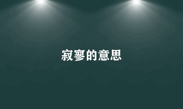 寂寥的意思