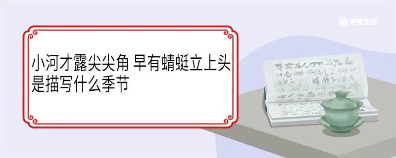 小河才露尖尖角早有蜻蜓立上头是描写什么季节
