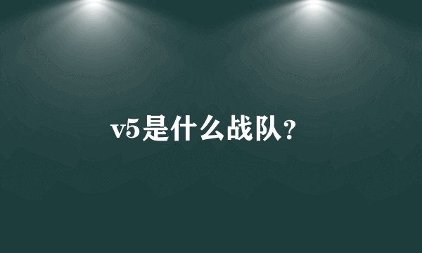 v5是什么战队？