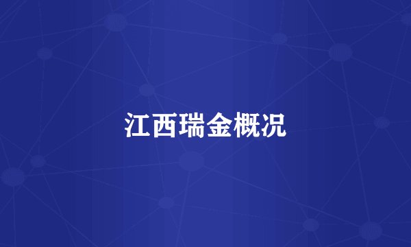 江西瑞金概况
