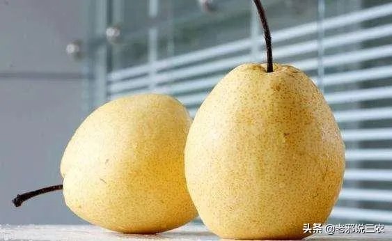 今日立秋,农村老人常说的“啃秋”是什么意思?