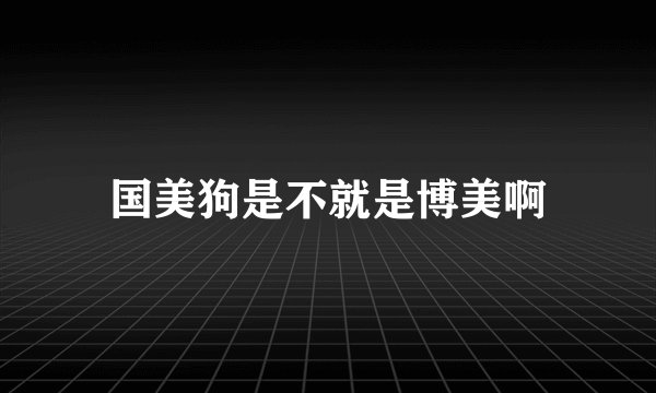 国美狗是不就是博美啊