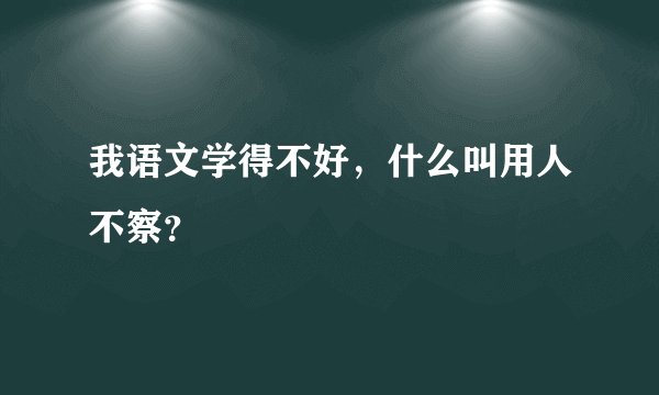 我语文学得不好,什么叫用人不察?
