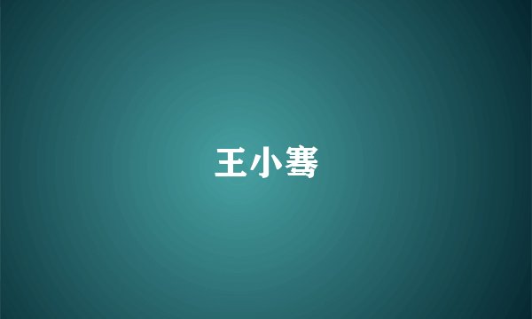 王小骞