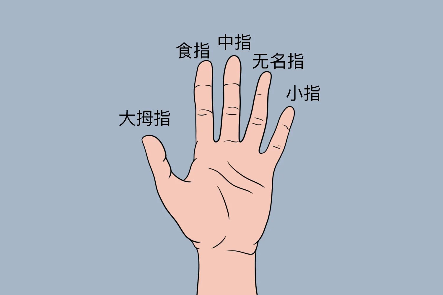 无名指图片