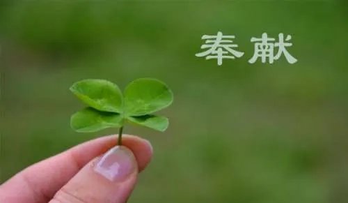 奉献的反义词是什么