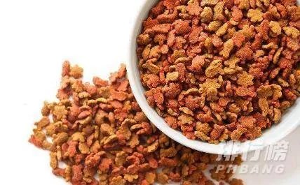 猫粮什么牌子好又便宜_猫粮哪个牌子质量好性价比高