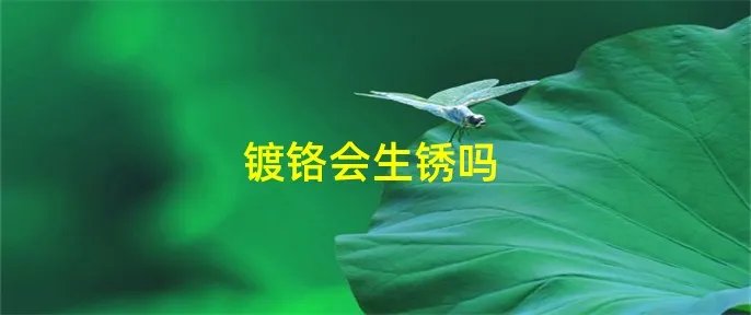 镀铬会生锈吗