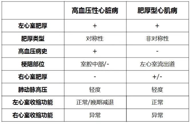 肥厚性心肌病