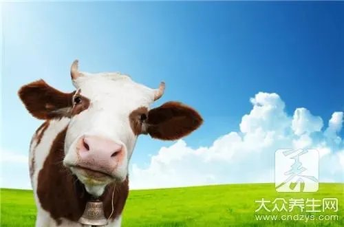 牦牛角手镯的功效是什么?