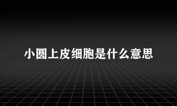 小圆上皮细胞是什么意思