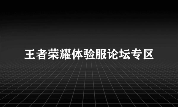 王者荣耀体验服论坛专区