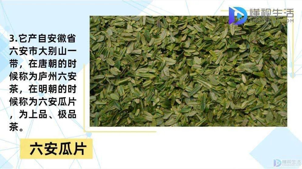 六安瓜片是属于什么茶