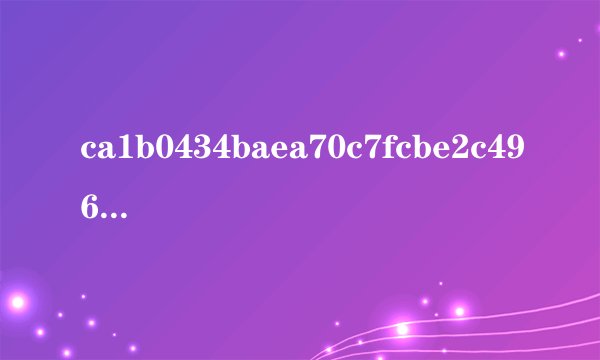 ca1b0434baea70c7fcbe2c49654a74c84ce3289f