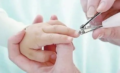 两个属蛇的人结婚好吗 为什么蛇和蛇不能结婚