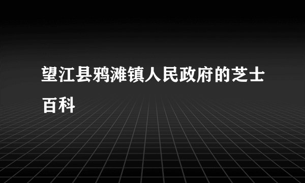 望江县鸦滩镇人民政府的芝士百科