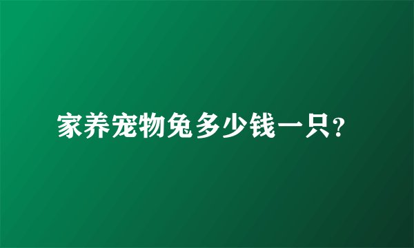 家养宠物兔多少钱一只？