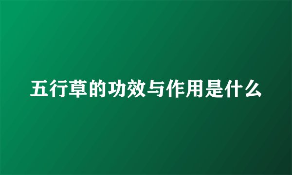 五行草的功效与作用是什么