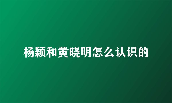 杨颖和黄晓明怎么认识的