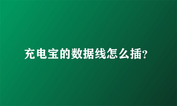 充电宝的数据线怎么插？