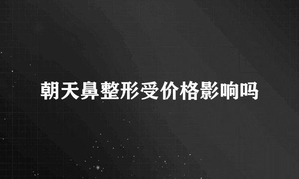 朝天鼻整形受价格影响吗