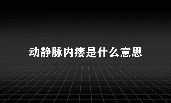 动静脉内瘘是什么意思