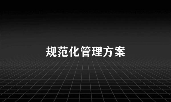 规范化管理方案