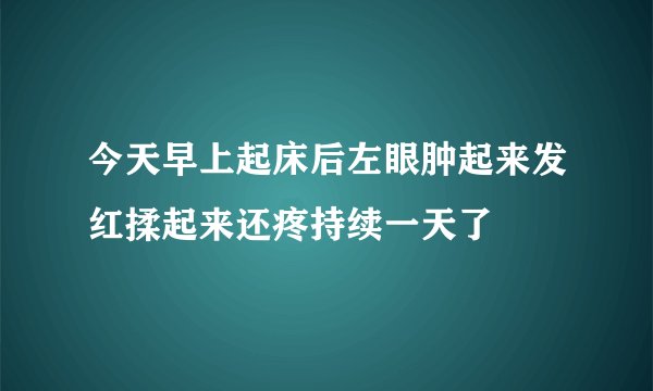 今天早上起床后左眼肿起来发红揉起来还疼持续一天了