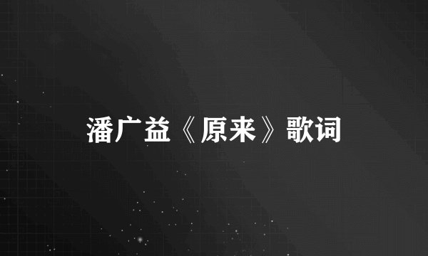 潘广益《原来》歌词
