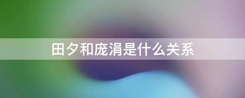 田夕和庞涓是什么关系
