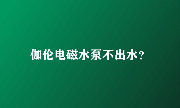 伽伦电磁水泵不出水？