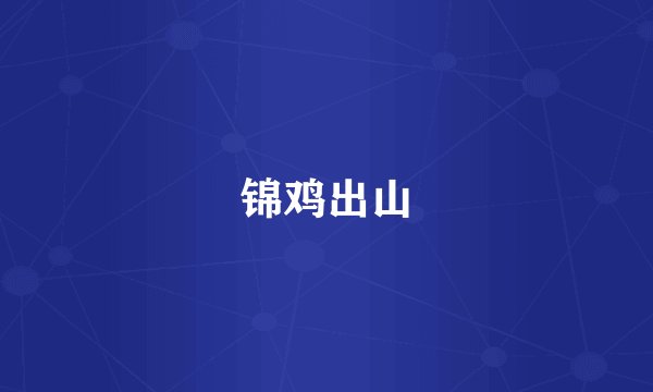 锦鸡出山