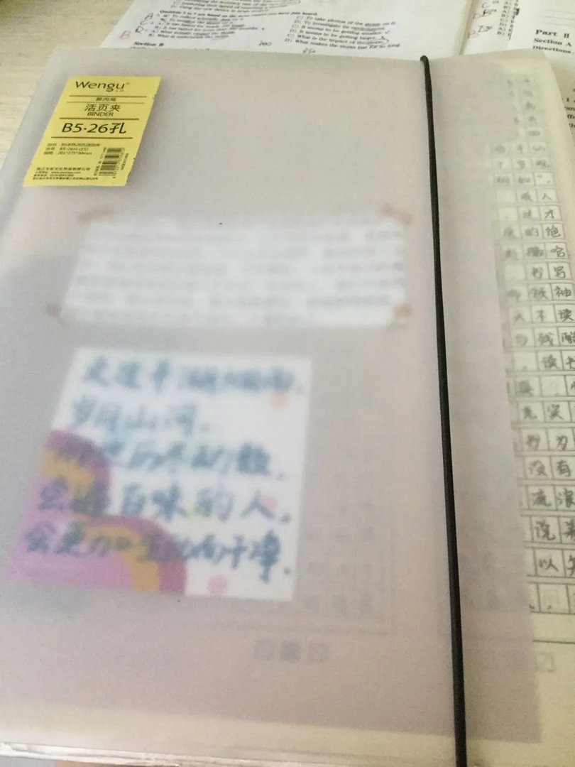 语文摘抄？