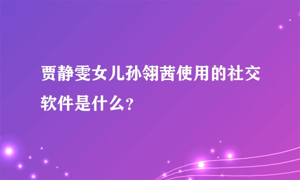 贾静雯女儿孙翎茜使用的社交软件是什么？