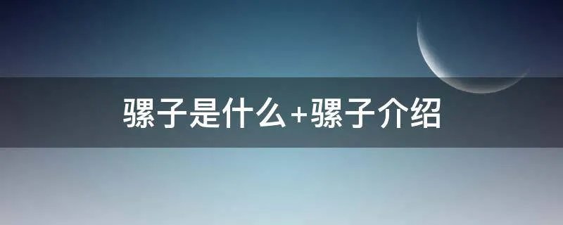 骡子是什么 骡子介绍