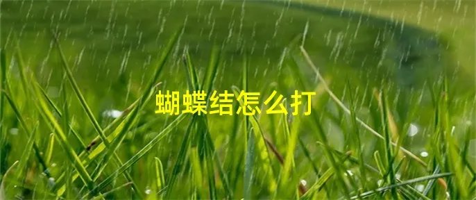 蝴蝶结怎么打