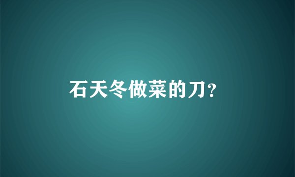 石天冬做菜的刀？