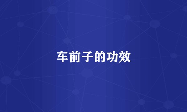 车前子的功效
