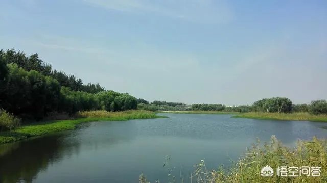 潍坊湿地公园在哪里?有多大?
