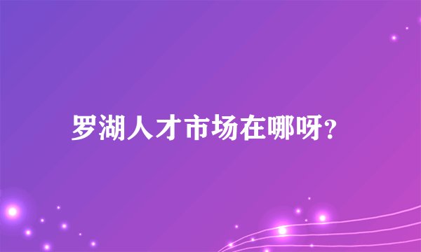 罗湖人才市场在哪呀？