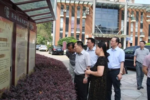 丁伟民的介绍
