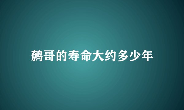 鹩哥的寿命大约多少年
