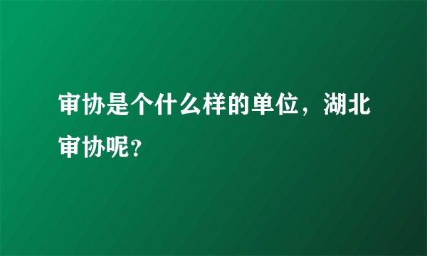 审协是个什么样的单位，湖北审协呢？